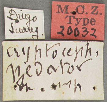 Media type: image; Entomology 20032   Aspect: labels